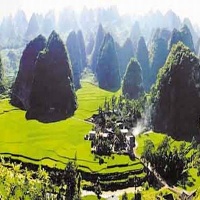 Forest of Thousands of Mountain Peaks Guizhou